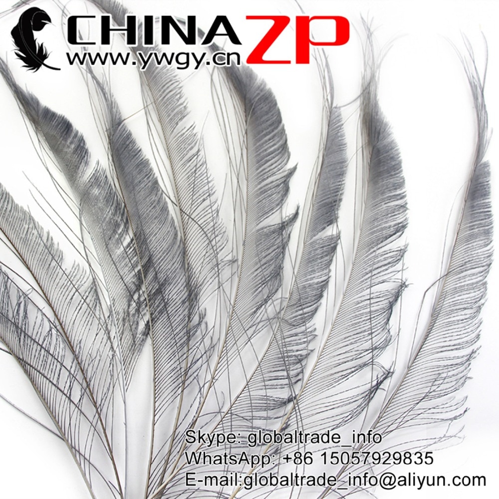 Chinazp    100 / 30-40 cm (12  16 inch)..